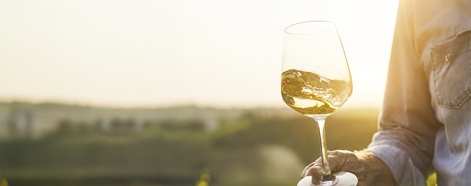 Promozione enogastronomica