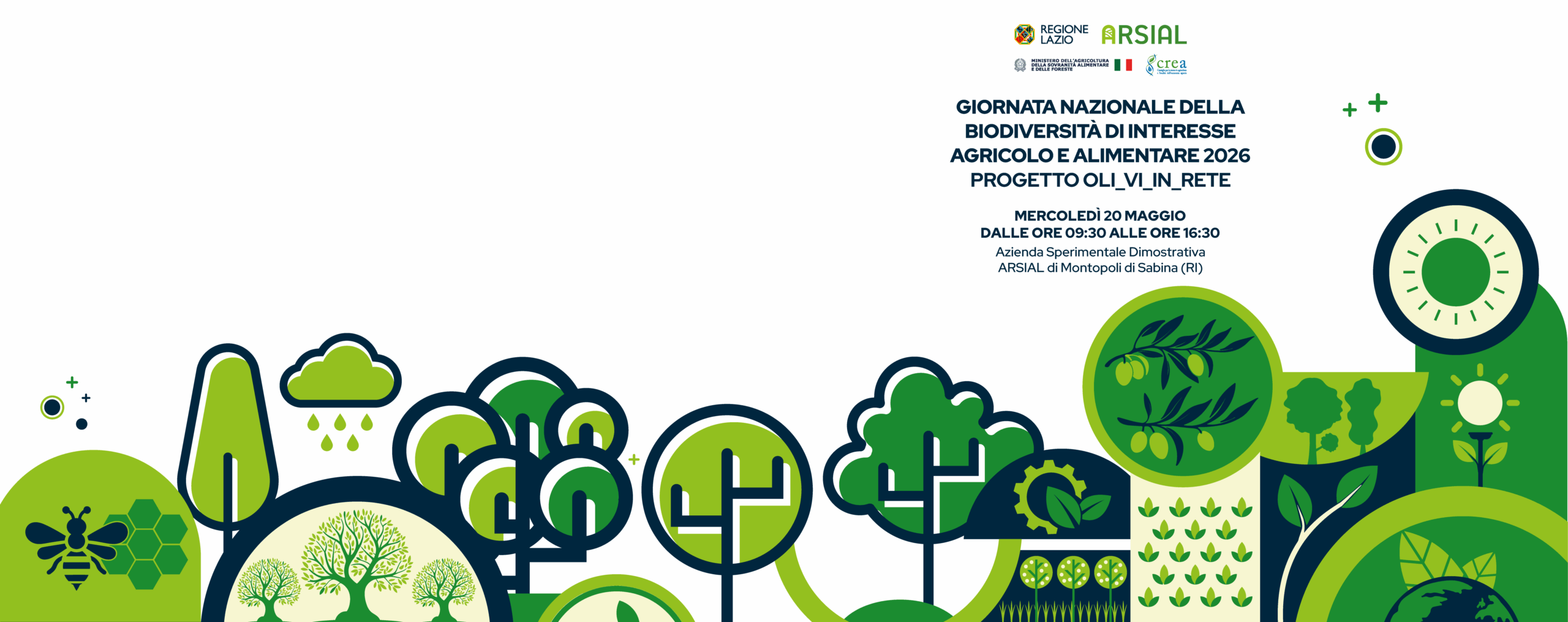 Biodiversità agraria, il 20 maggio a Montopoli di Sabina una giornata dedicata all’olivo autoctono