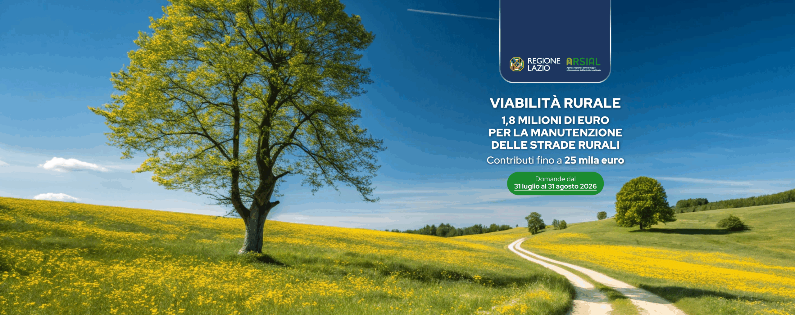 Viabilità rurale